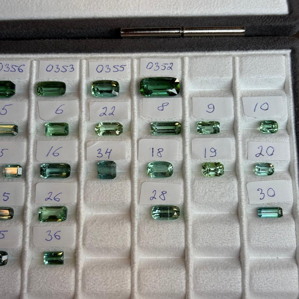 #20 0.93ct Lagoon Tourmaline  DXBCS0867